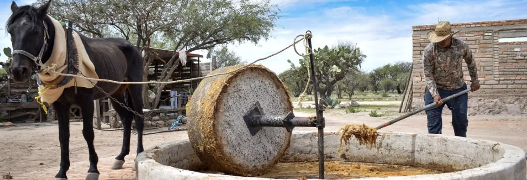 RECONOCEN A MEZCAL DE AGUASCALIENTES COMO UNO DE LOS MEJORES DE MÉXICO